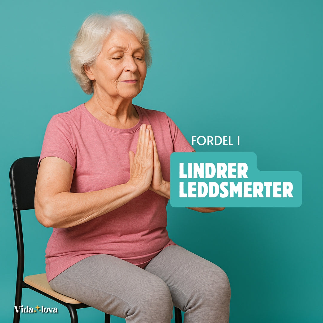 Stolyoga for seniorer (E-bok)