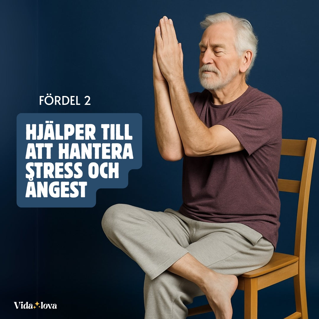 Stolyoga för seniorer (E-bok)