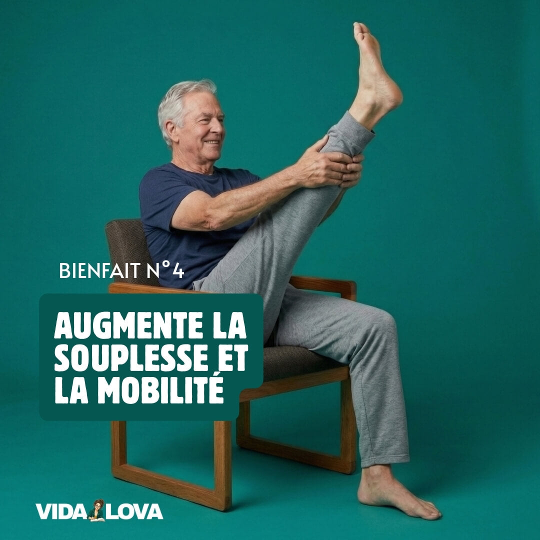 Le Yoga sur Chaise pour Seniors (E-Book)