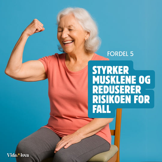 Stolyoga for seniorer (E-bok)