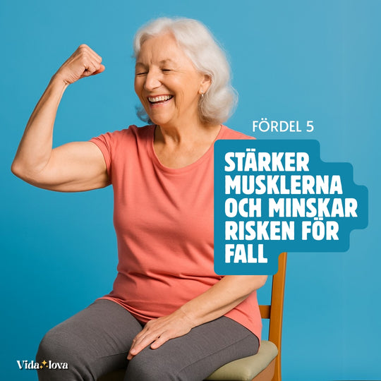 Stolyoga för seniorer (E-bok)
