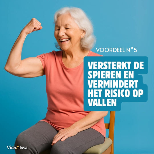 StoelYoga voor Senioren (E-Book)