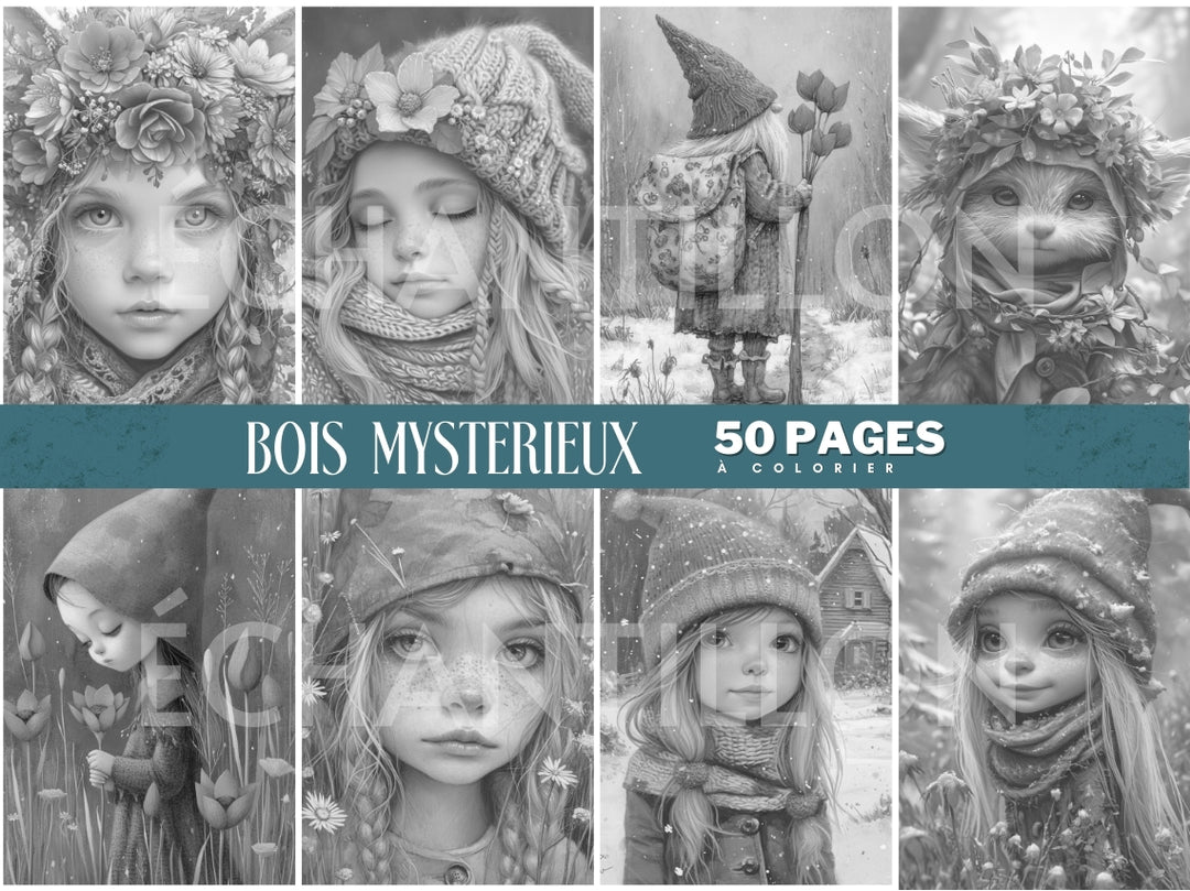 Bois Mystérieux - 50 Pages à Colorier - Vidalova